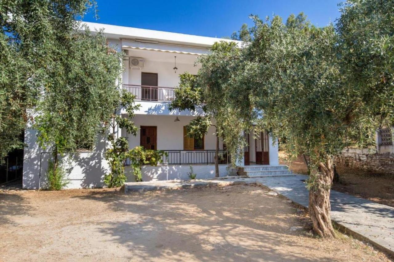 Xanthi'S Dream Place Potos Exterior photo